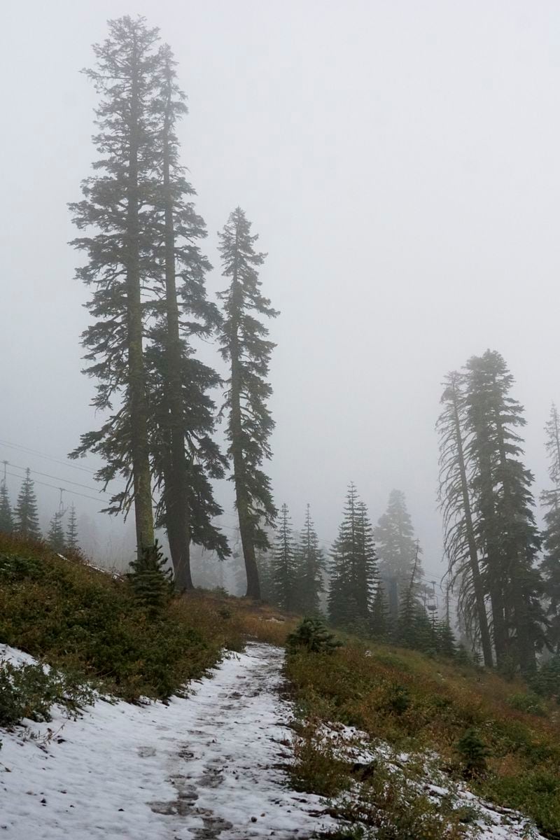 A light coating of snow covers the Mt. Judah Loop Trail at Sugarbowl Ski Resort Saturday, Aug. 24, 2024, in Donner Summit, Calif. (AP Photo/Brooke Hess-Homeier)