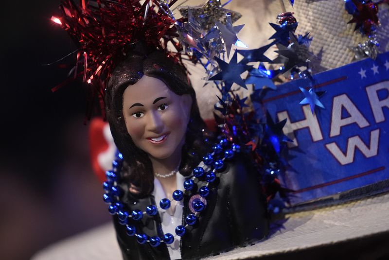 A delegate wears a decorated hat during the Democratic National Convention Tuesday, Aug. 20, 2024, in Chicago. (AP Photo/Erin Hooley)