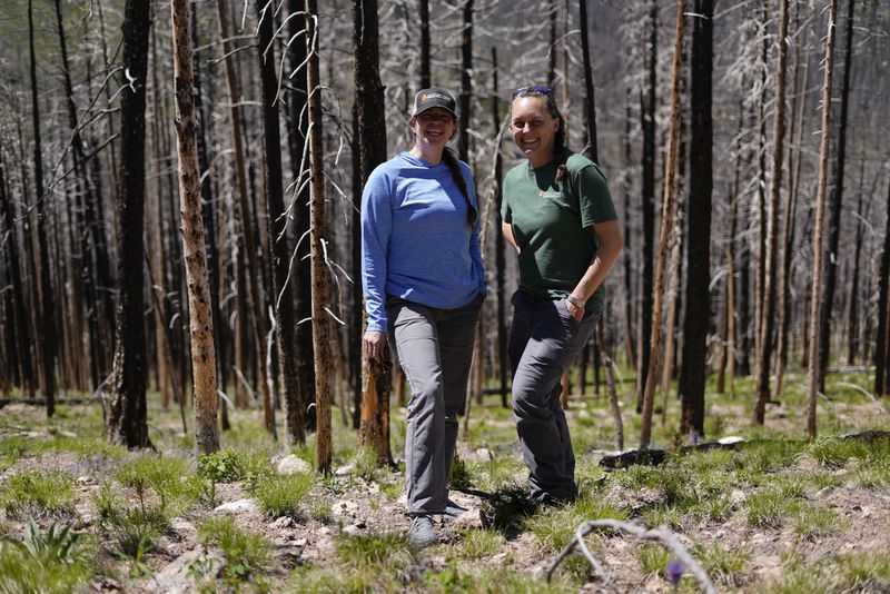 Marin Chambers, left, and Camille Stevens-Rumann pose on Tuesday, June 11, 2024, in Bellvue, Colo., at the site of the 2020 Cameron Peak Fire. (AP Photo/Brittany Peterson)