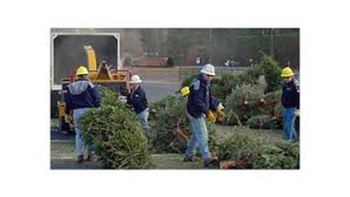 The city of Clarkston offers free Christmas tree recycling through Jan. 10. AJC file photo