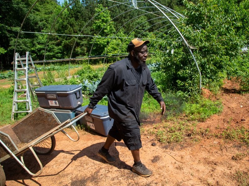 Musa Hasan brings a cart to carry weeds as a group of local farmers helps out at the 10-acre vegetable farm he runs with his wife, Micole. Phil Skinner for The Atlanta Journal-Constitution 