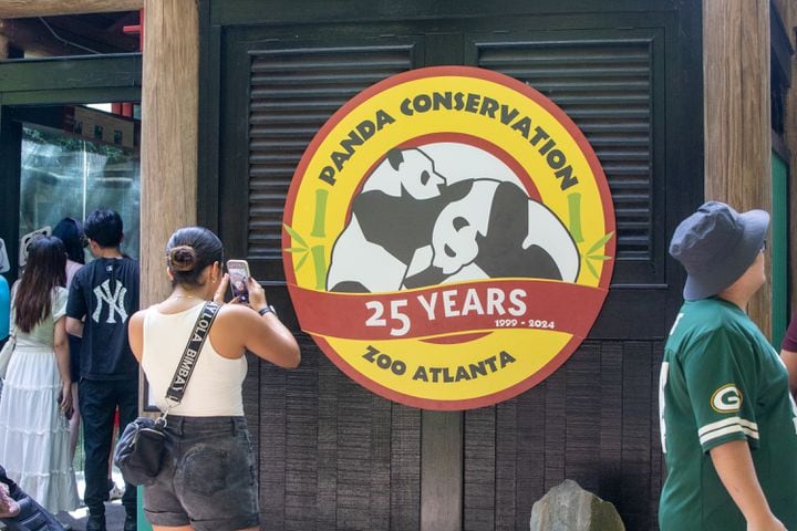 Giant Panda farewell as they go back to China