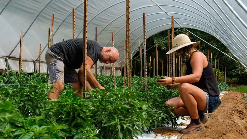 Crystal Organic Farm offers a la carte online sales of produce grown in its fields and hoop houses. (Courtesy of Crystal Organic Farm)