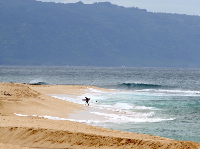 FILE - A surfer walks out of the ocean on Oahu's North Shore near Haleiwa, Hawaii, March 31, 2020. Authorities said a professional lifeguard died after he was attacked by a shark while surfing off the island of Oahu in Hawaii on Sunday afternoon, June 23, 2024. (AP Photo/Caleb Jones, File)