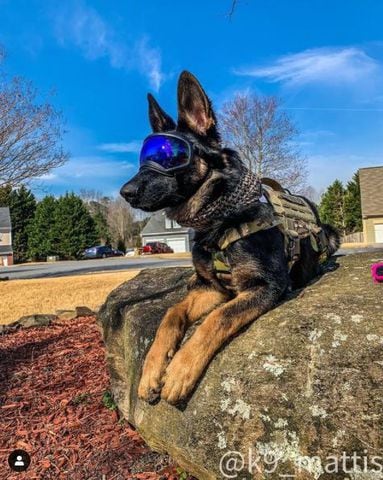 Alpharetta K-9 Mattis retires