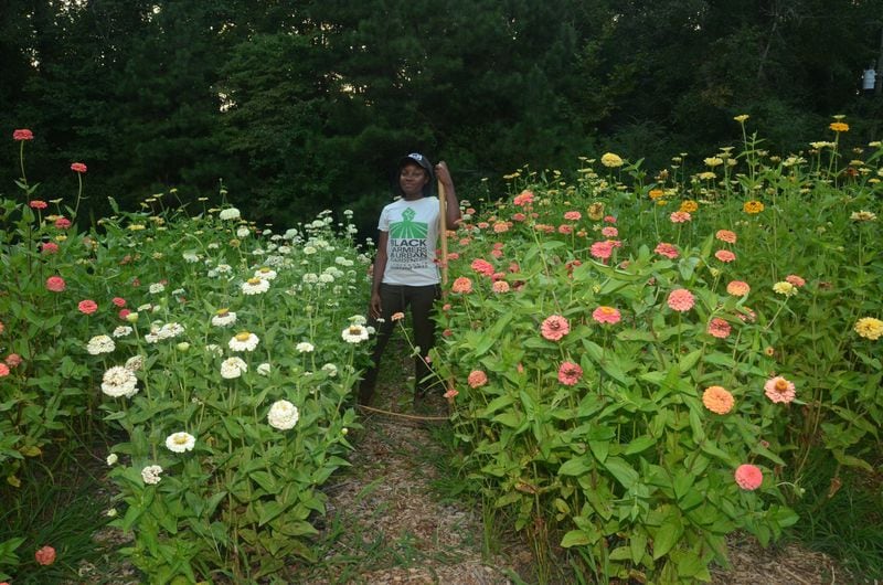 Whitney Jaye and her husband began farming two years ago on a half-acre of land in Lithonia where they grow flowers, vegetables and culinary and medicinal herbs. Jaye is among a small but growing number of black farmers hoping to reconnect their communities to cultural roots through farming. CONTRIBUTED BY WHITNEY JAYE