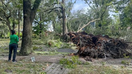 A pedestrian stands in front of an uprooted tree that is blocking a road on Friday, September 27, 2024 in Savannah, GA. (AJC Photo/Katelyn Myrick)