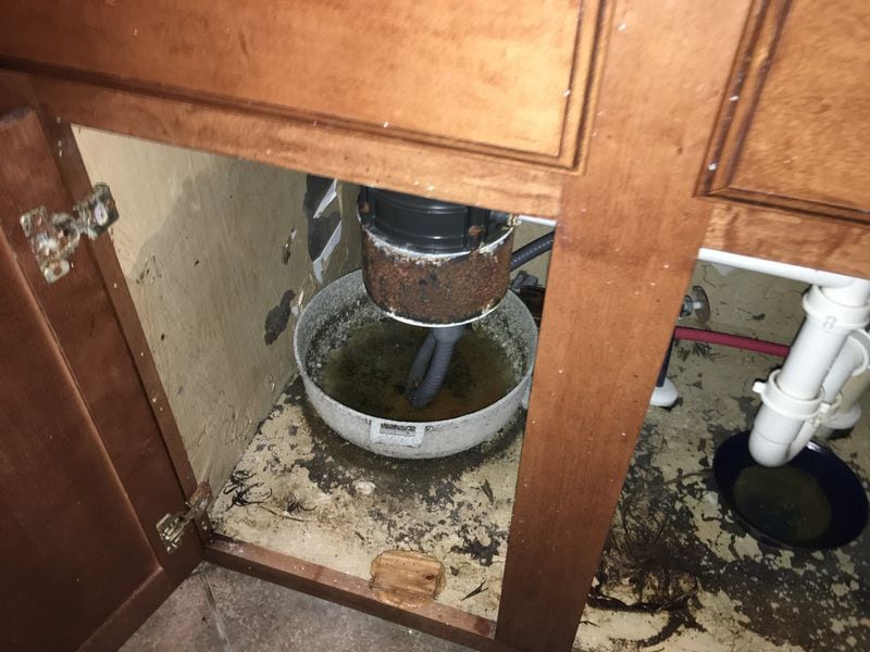 This photo was taken earlier this year inside the townhouse in Conyers owned by Jeffrey Webb and rented to Shani Whint. It shows leaking water and mold and dirt under the kitchen sink, one of several issues that Whint said had long gone without repair.