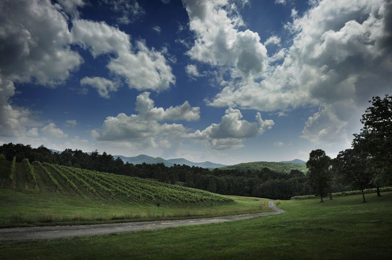 A view of Noble Wine Cellars’ Fiddlers Ridge Vineyard in the Upper Hiwassee Highlands in north Georgia. CONTRIBUTED BY JIM LORING