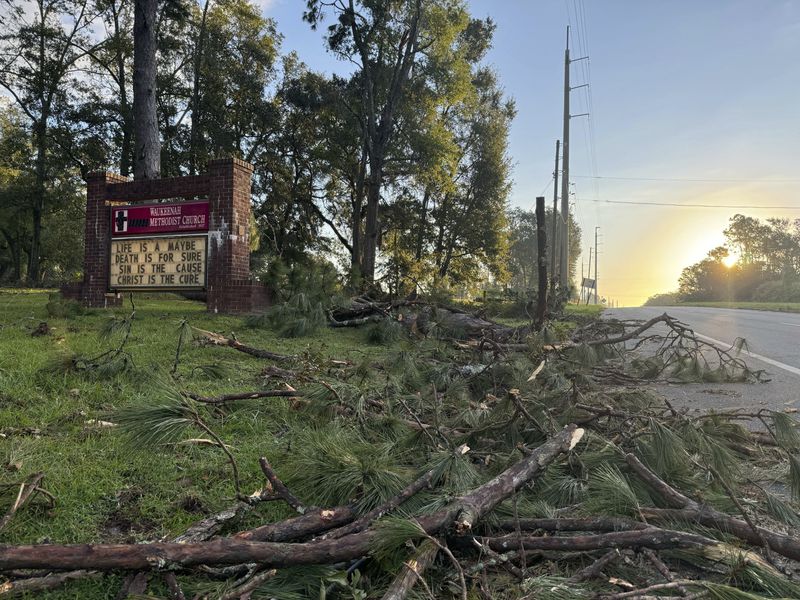 Fallen pine trees litter the grounds of Waukeenah Methodist Church in Monticello, Fla. on Sunday, Sept. 29, 2024. (AP Photo/Kate Payne)