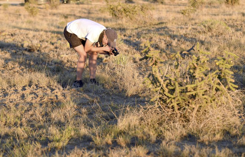 Andrew Motte, a filmmaking student at Montana State University, films a tarantula on the plains near La Junta, Colo., on Saturday, Sept. 28, 2024. (AP Photo/Thomas Peipert)