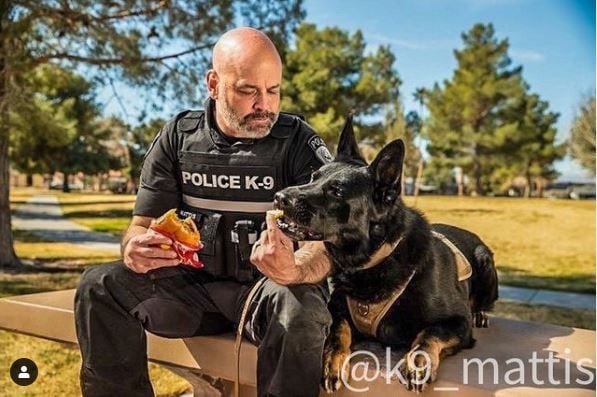 Alpharetta K-9 Mattis retires