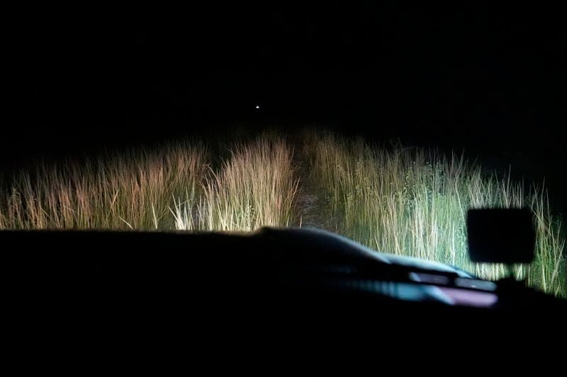 Thomas Aycock, a contractor with the Florida Fish and Wildlife Conservation Commission, drives along a levy searching for invasive Burmese pythons, Tuesday, Aug. 13, 2024, in the Florida Everglades. (AP Photo/Wilfredo Lee)