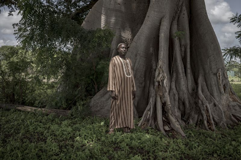 Moustapha Sabally, who receives remittances from his son, a doctor in America, poses for a portrait on his land in Kwinella village, Gambia, on July 27, 2024. (AP Photo/Annika Hammerschlag)