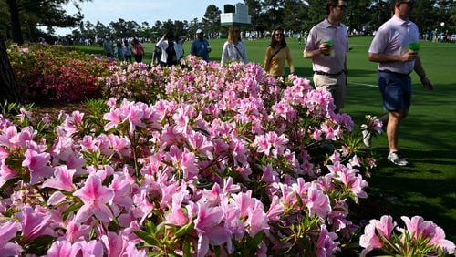 Patrons walk by azaleas during a practice round at Augusta National Golf Club, Wednesday, April 10, 2024, in Augusta. (Hyosub Shin / Hyosub.Shin@ajc.com)