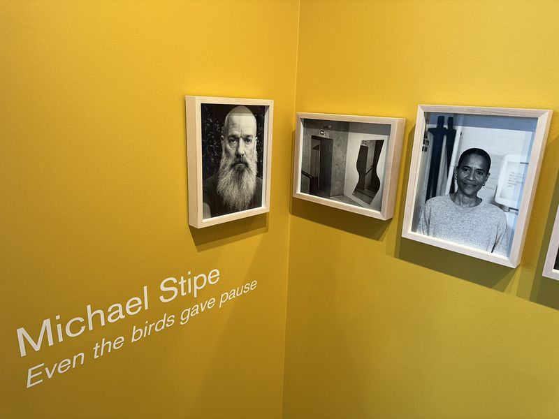 Part of the Michael Stipe art show "Even the birds gave pause" at Jackson Fine Art in Buckhead that runs through Dec. 20, 2024. RODNEY HO/rho@ajc.com