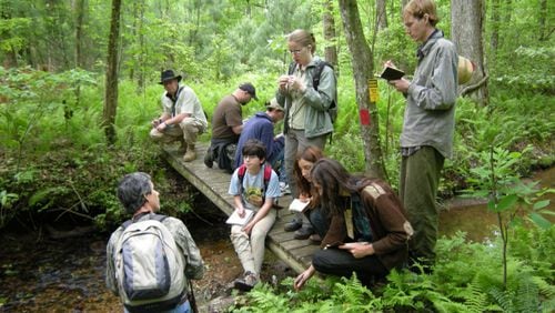 Students of varying ages want to learn about the outdoors and the benefits of plants from Mark Warren’s classes at Medicine Bow, his Dahlonega farm. 
(Courtesy of Mark Warren)