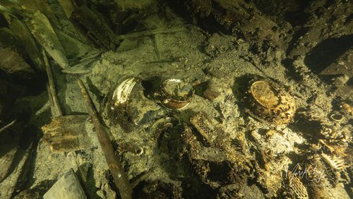 Porcelain items in a 19th century sailing ship wreckage that a team of Polish divers discovered on July 11, 2024, on the Baltic seabed about 37 kilometers (20 nautical miles) south of the Swedish isle of Öland. The ship was loaded "to the brim" with luxury goods including porcelain items and about 100 bottles of Champagne and mineral water and rests about 58 meters (190 feet) deep in conditions that the Baltictech divers say have preserved it "wonderfully." (Tomasz Stachura/Baltictech via AP)