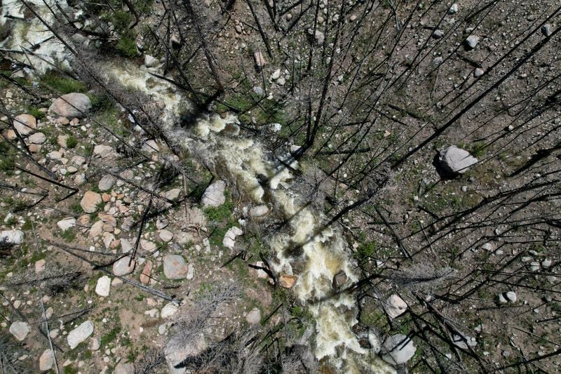 A river flows Tuesday, June 11, 2024, in Bellvue, Colo., among burned trees in the 2020 Cameron Peak burn area. (AP Photo/Brittany Peterson)