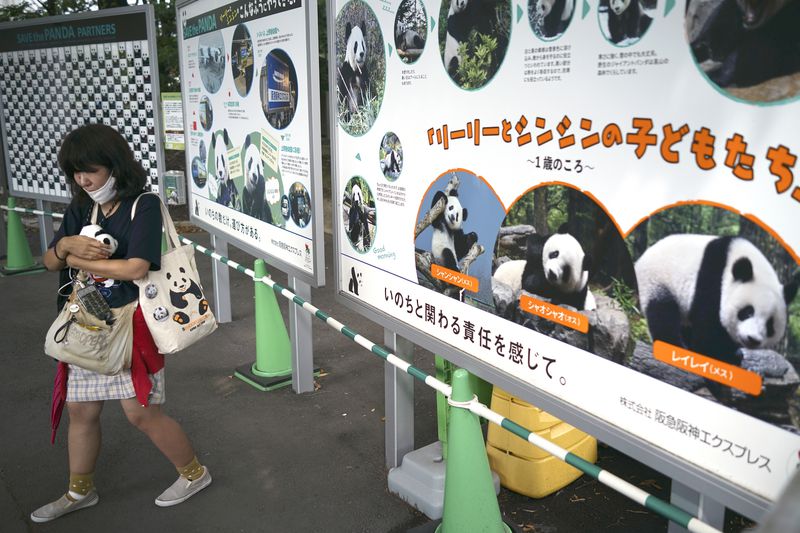 One of visitors reacts after seeing the giant pandas Ri Ri and Shin Shin at Ueno Zoo, a day before their return to China, Saturday, Sept. 28, 2024, in Tokyo. (AP Photo/Eugene Hoshiko)