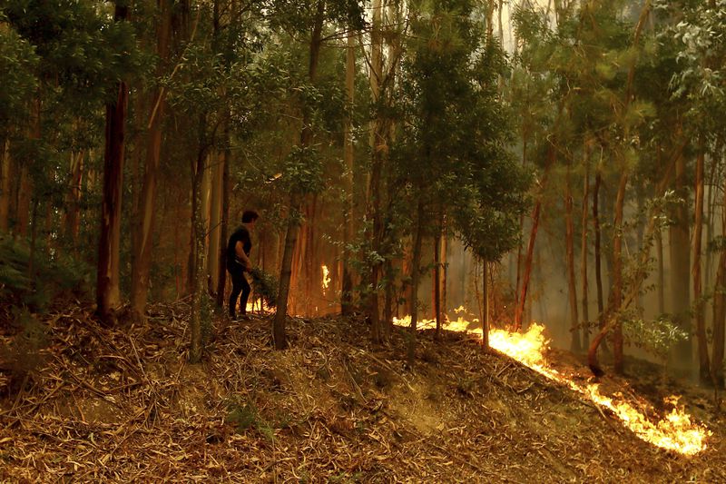 A woman tries to extinguish the flames near Sever do Vouga, a town in northern Portugal that has been surrounded by forest fires, Tuesday, Sept. 17, 2024. (AP Photo/Bruno Fonseca)