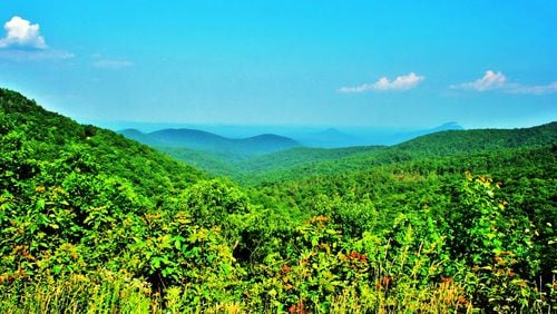 A view of the 9,115-acre Raven Cliffs Wilderness Area in the Chattaoochee National Forest in White County. Raven Cliffs is one of 14 congressionally designated wilderness areas in Georgia. (Charles Seabrook for the AJC)