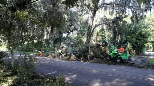 A crew works to remove a  large oak tree that fell across LaRoche Avenue as strong storms moved through the area on Tuesday, August 8, 2023. The tree fell on a vehicle as it drove along LaRoche, killing the driver.