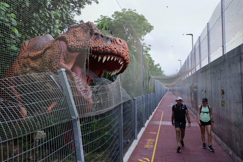 People walk past past a life size dinosaur replica along the Changi Jurassic Mile in Singapore, Sunday, Sept. 8, 2024. (AP Photo/Suhaimi Abdullah)