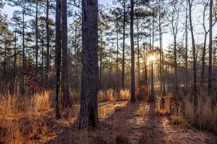 West Georgia hunting property