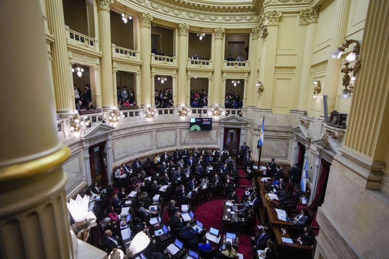 Senators debate a reform bill promoted by Argentine President Javier Milei in Buenos Aires, Argentina, Wednesday, June 12, 2024. The bill was approved in general and must now be debated article-by-article before being sent to the Lower House. (AP Photo/Natacha Pisarenko)