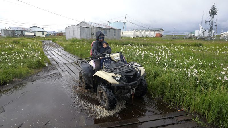 A resident drives along a flooded boardwalk on Wednesday, Aug. 14, 2024, in Newtok, Alaska. (AP Photo/Rick Bowmer)