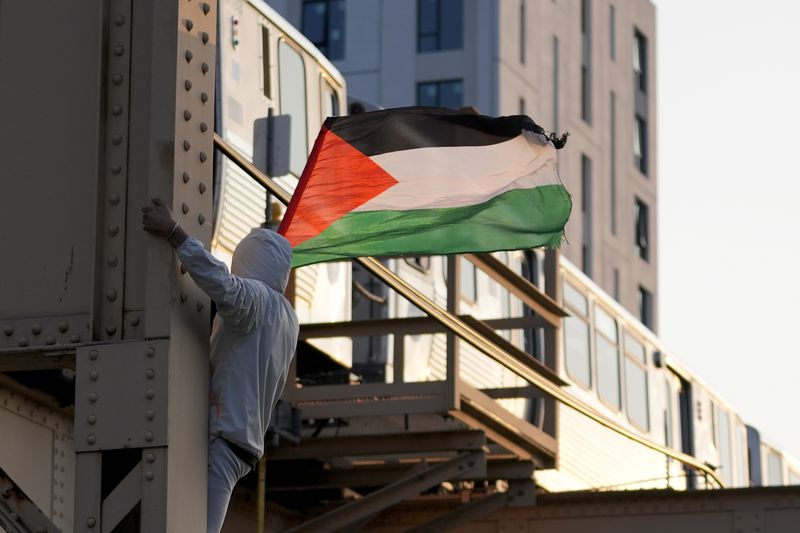 A protesters waves a flag during a demonstration outside the Democratic National Convention Wednesday, Aug. 21, 2024, in Chicago. (AP Photo/Frank Franklin II)