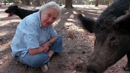 Sandy West sits beside Lucky, a wild Ossabaw hog that has become her pet, on Nov. 9, 1999 on Ossabaw Island. LEVETTE BAGWELL / THE ATLANTA JOURNAL-CONSTITUTION