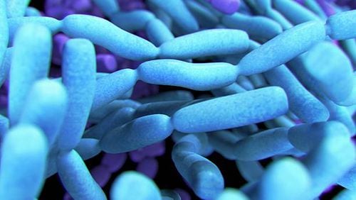 CDC identifies 2 deadly superbugs