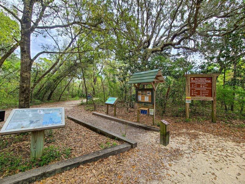 With more than four miles of easy trails, you can walk through varying habitats including wetlands, maritime forests and scrub habitats, among others.