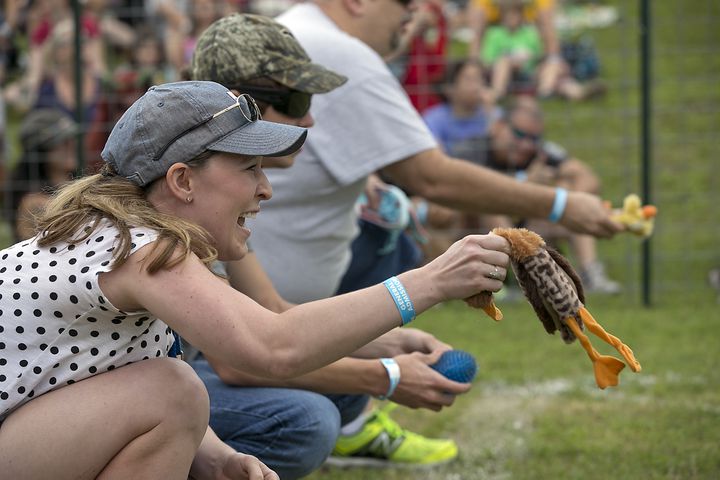 Buda Wiener Dog Race, 4.26.15