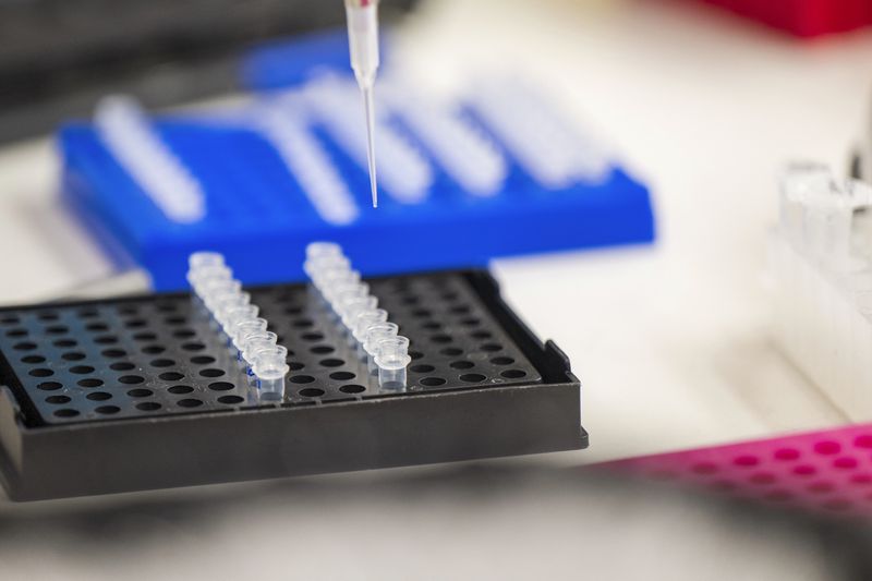 A lab technician prepares DNA samples for analysis at Complete Genomics in San Jose, Calif., Monday, July 22, 2024. (AP Photo/Nic Coury)