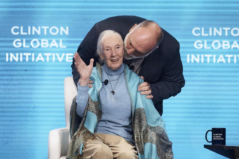 Chef Jose Andres, top, kisses English primatologist and anthropologist, Jane Goodall, bottom, during the Clinton Global Initiative, on Tuesday, Sept. 24, 2024, in New York. (AP Photo/Andres Kudacki)