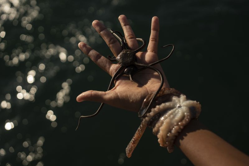 Rafael Murillo, a young diver who performs shows in the sea for tips, shows a starfish and an octopus to women resting on a boardwalk to cool off from the heat in Veracruz, Mexico, on June 15, 2024. Human-caused climate change intensified and made far more likely this month's killer heat with triple digit temperatures, a new flash study found Thursday, June 20. (AP Photo/Felix Marquez)