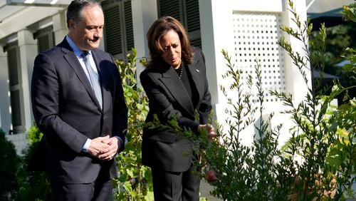 Democratic presidential nominee Vice President Kamala Harris, right, and second gentleman Doug Emhoff look at memorial tree after they planted it on the grounds of the Vice President's residence in Washington on Monday, Oct. 7, 2024, to honor the victims and mark one year since the Oct. 7, 2023, Hamas attack on Israel. (AP Photo/Ben Curtis)