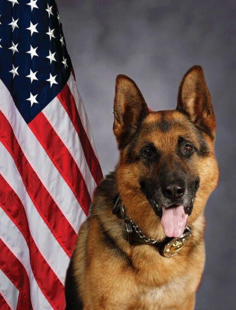 Lawrenceville Police K-9 Officer Hyro served the police department for seven years until his death from an illness in July 2023. City officials dedicated a new dog park at the Lawrenceville Lawn in his memory. (Courtesy of City of Lawrenceville)