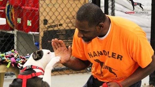 Canine CellMates helps rehabilitate incarcerated men by using shelter dogs.