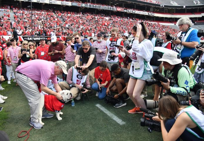 Photos: Boom the Bulldog takes his place as Uga XI at G-Day