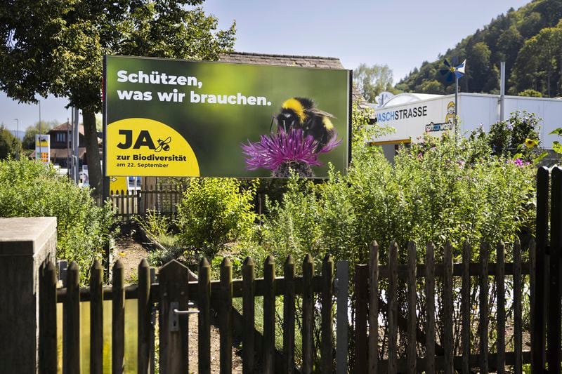 A poster for the Yes campaign is seen in a garden ahead of a biodiversity referendum due to take place on Sept. 22, in Belp, Switzerland, Saturday, Aug. 24,2024. (Peter Klaunzer/Keystone via AP)