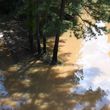 The area around one of the paved trails at Amerson River Park sits flooded after the effects of Hurricane Helene on Monday, Sept. 30, 2024, in Macon, Georgia. The park is closed until further notice as many of its trails have flooded from the increased rainfall of Hurricane Helene last week. (Photo Courtesy of Katie Tucker/The Telegraph)