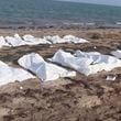 In this image made from video, bodies of migrants who were washed away are seen on the shore of the Red Sea, off the coast in Djibouti Wednesday, Oct. 2, 2024. (Djiboutian Coast Guard via AP)