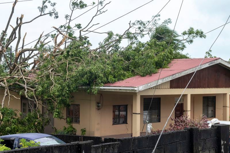 A tree lies on the roof of a house in Kingstown, St. Vincent and the Grenadines, after Hurricane Beryl on Monday, July 1, 2024. (AP Photo/Lucanus Ollivierre)