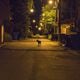 A lone coyote is caught on camera roaming the streets of Atlanta at night.