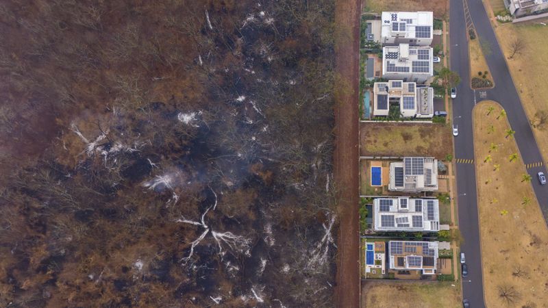 Burnt trees lie next to condominiums as wildfires rage in Sao Paulo state in Ribeirao Preto, Brazil, Sunday, Aug. 25, 2024. (AP Photo/Marcos Limonti)