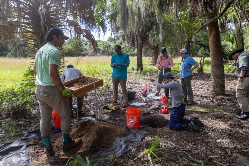 A group of student archaeologists look for findings at an archaeological site on Friday, June 28, 2024 on Ossabaw Island. (AJC Photo/Katelyn Myrick)